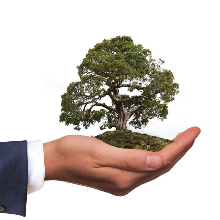 ecologie