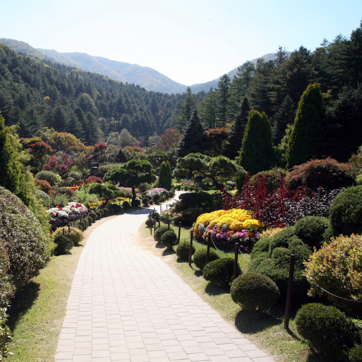 arboretum